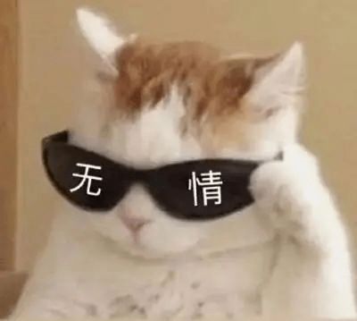 诸城交警拿来吧你