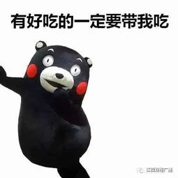 趴着的表情包图片国美