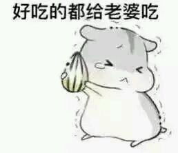 关于老婆最大这些类型的哄老婆的表情包,我要啊啊啊大神助我