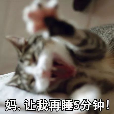 你和你妈妈的日常交流哈哈哈