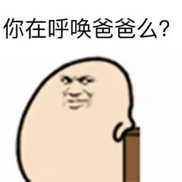 哈哈哈哈哈爸妈这些sao操作我真是不懂