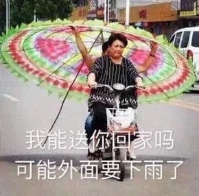 下雨了送你回家表情包辉腾