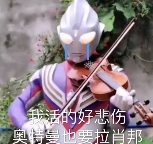 被客服小哥哥当作乔碧萝大佬并且宽慰道哥,都...