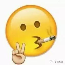 清迈第一天游
