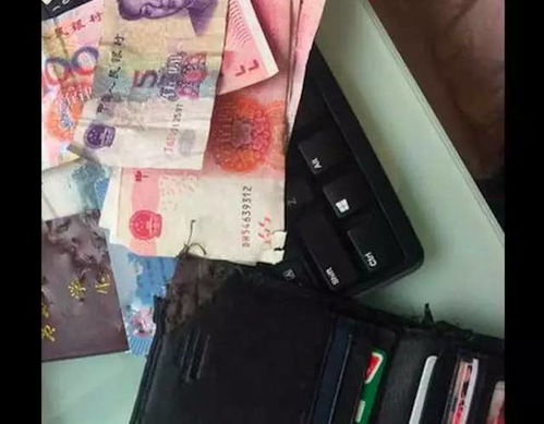 哈士奇咬烂了钱包,主人拿刀吓唬它,没想到它一副英勇就义表情