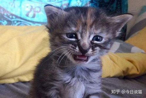 伤感表情包绰号