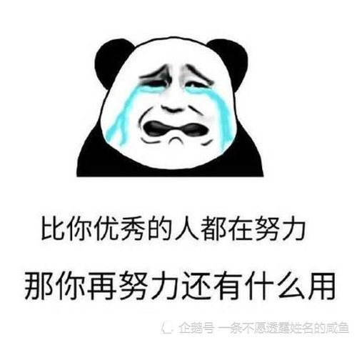 今日笑点看到小侄女,我第一句话就是考的怎么样啊