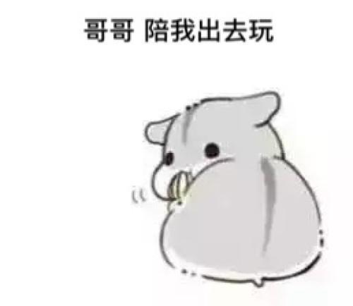 老公道再给我一个硬币,喜羊羊的没那台灰太狼的好开