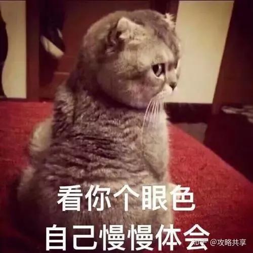 可以这样回家