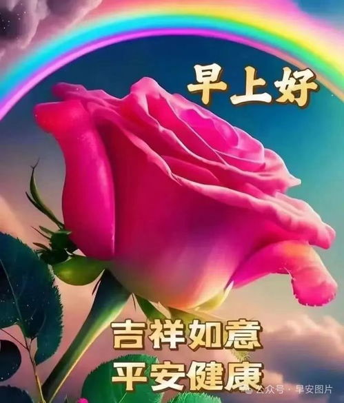 百年好合表情包早上好