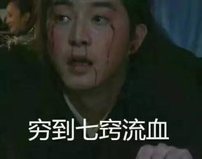追星狗每天的状态,简直不忍直视