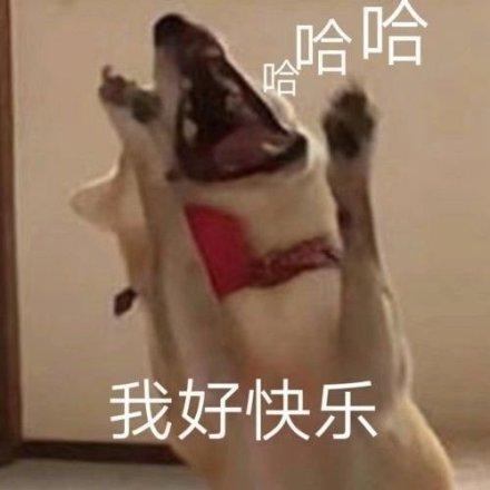 春节假期行程表情包这几天你们就受不了,以后还怎么坐月子
