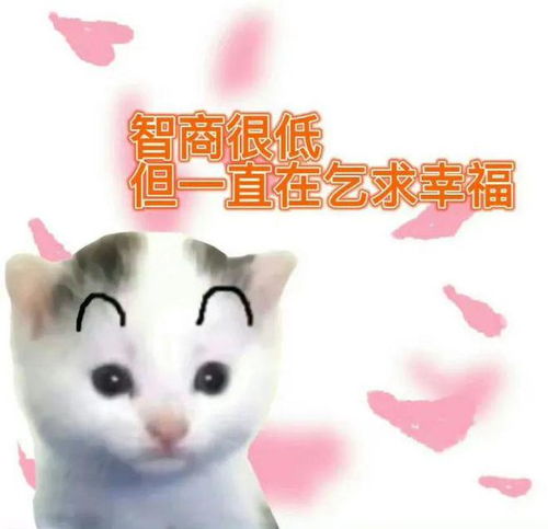 老天爷,你啥时候下馅饼呀表情包合集