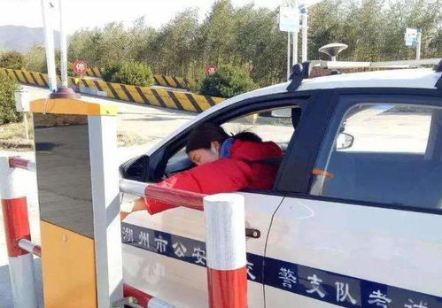 考完驾照的人太过幸运,驾考新规则来袭,学员头疼难度太高了