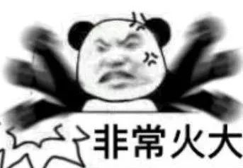讲真找对象不如养条狗
