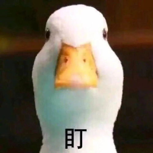 软测人正在杀死软测行业