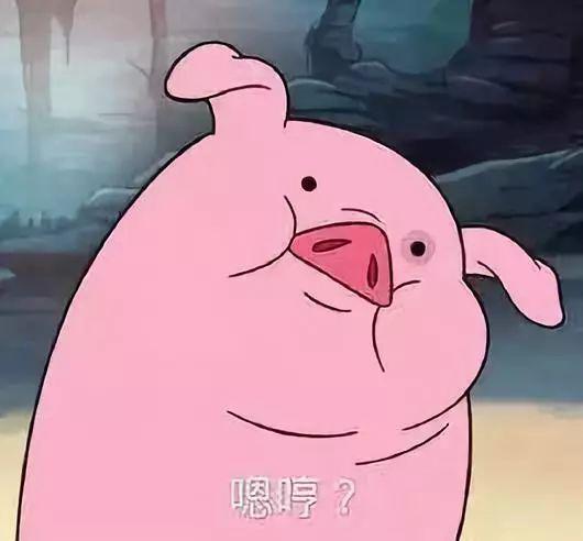 刘涛和老公十年对比照,运动与不运动,差别到底有多大
