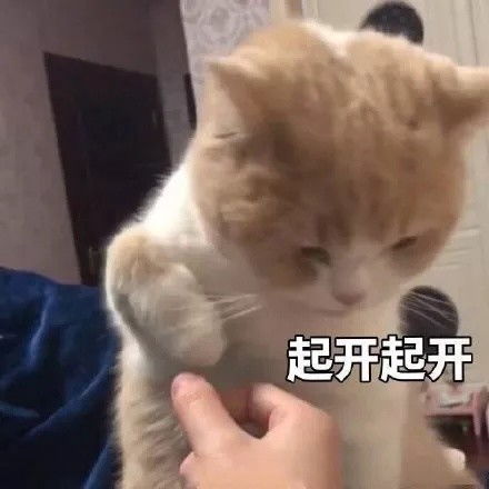 能说一个没有十斤脑洞问不出的问题吗