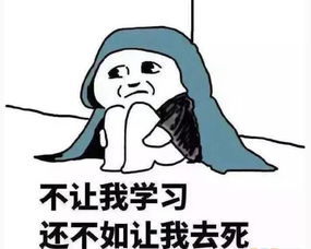 卧槽,白百何真的出轨了居然是他