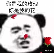 给大家科普下什么叫假性渣女哈哈哈哈哈这么刺激的么