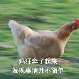 这届舞法天女是不是在迪士尼打工练习