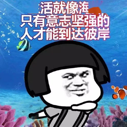 南方人都太坚强了每日搞笑段子