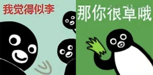 火遍国内互联网的沙雕企鹅,竟是日本吉祥物