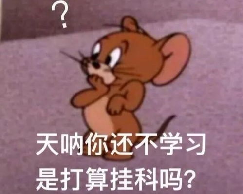 叮您有一份考试秘籍,请查收