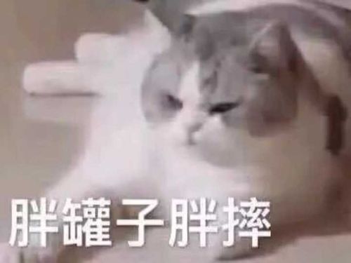 有什么让人一看就觉得这个人好有意思啊的文案