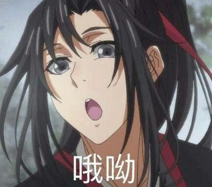 魔道祖师表情包确认过眼神,这是我媳妇