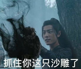 忘羡表情包无羡