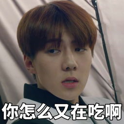 exo吴世勋表情包