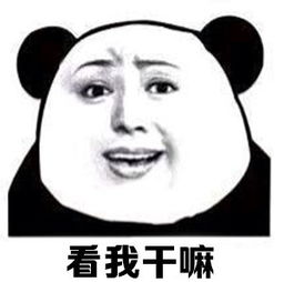 我已经闭嘴了表情包贱人