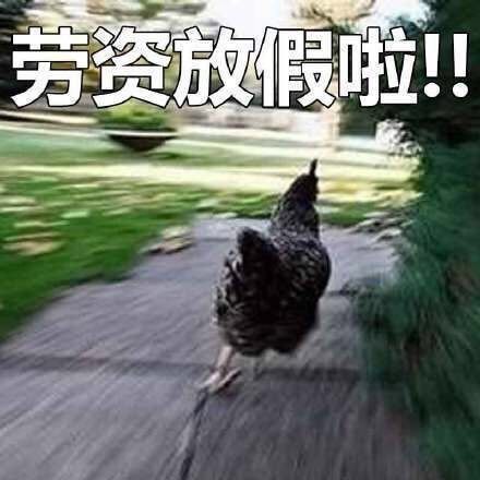 中国过个生日,怎么全世界都嗨了
