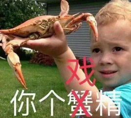 惹吴昕怒怼,视觉中国当真是明星颜值的照妖镜