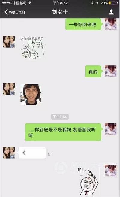 和爸妈聊天千万不要用表情包,你会疯的我跟你讲