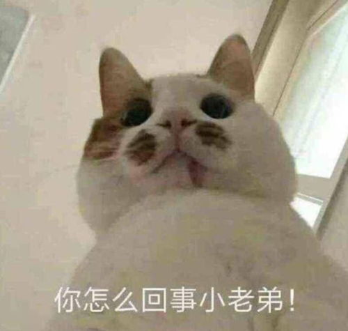 有一套表情包沙雕