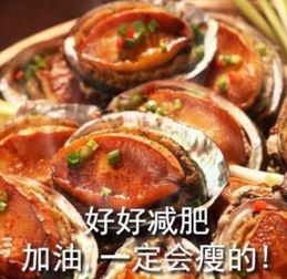吃货党专用的表情包好好减肥,加油,一定会瘦的