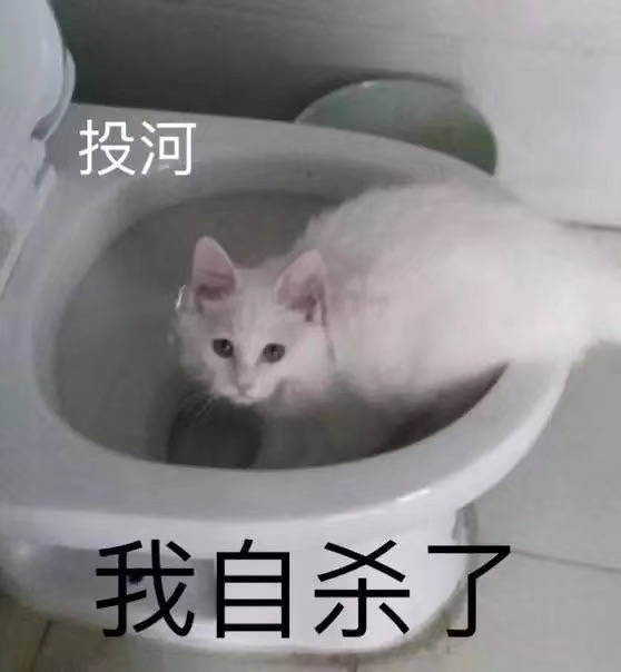 清流,我感觉我论文写不完了