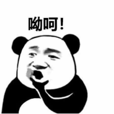 熊猫头表情包总跟我小熊猫对着干