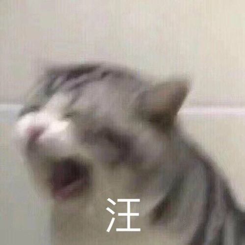 我可以,我能行