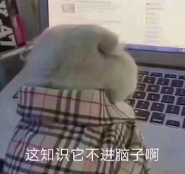 这6道小学入学测试题,让成年的我流下学渣的泪水