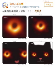住手它快要被你们玩坏了多图