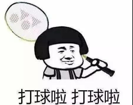 生活斗图表情包羽毛球