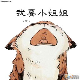 小姐姐我有个大胆的想法表情包小姐姐我想撩你表情包下载乐游网游戏下载