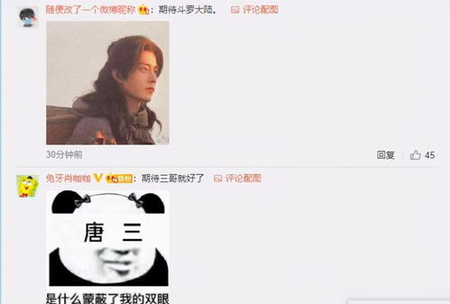 肖战斗罗大陆王一博有翡获发行许可证,你更期待哪一部