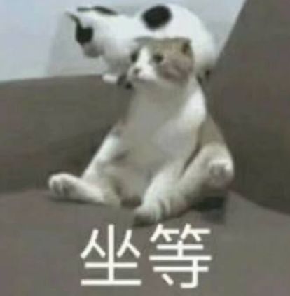 e句话看天下印上潮牌logo的报纸贵40倍,你会买么