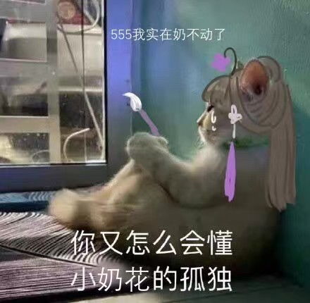 为什么要违背祖训剑三奶花交星楼奶队友,却被嫌弃怎么被抓死了