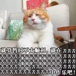 从幼儿园踏入小学,不论对于孩子还是父母来说,都是一项挑战
