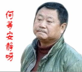 热烈庆祝两市近100股涨停佳创跑输大盘佳创视讯300264